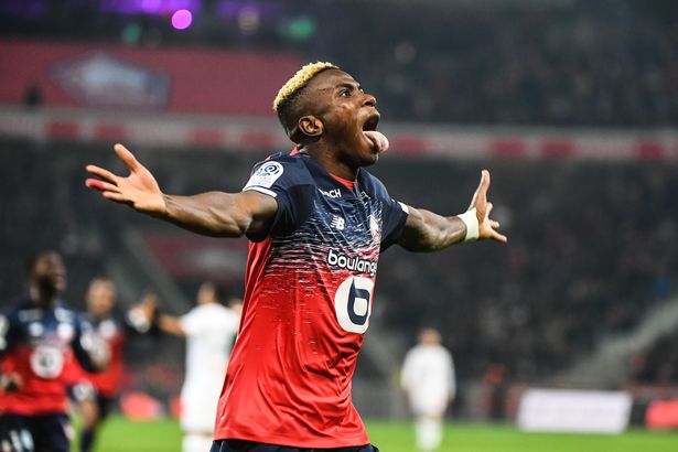 Lille Has Confirm And List All The Offers Received For Victor Osimhen Lille Has Confirm And List All The Offers Received For Victor Osimhen