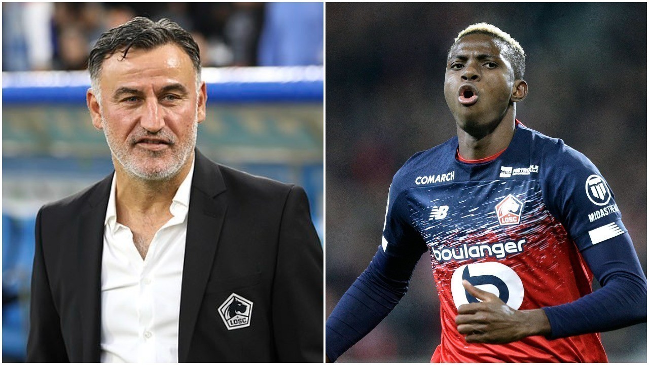 Lille Is Working Hard To Replace Osimhen This Summer - Galtier Lille Is Working Hard To Replace Osimhen This Summer – Galtier