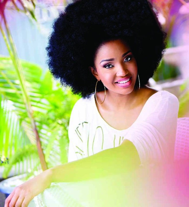 Amaju Pinnick Biography, House, Wife, Salary, Age, Net Worth 4 Amaju Pinnick Biography