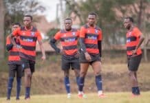 Netizens share Kenya Premier League predictions as new season beckons Netizens share Kenya Premier League predictions as new season beckons
