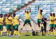 AFCON predictions – Dark horses for the crown