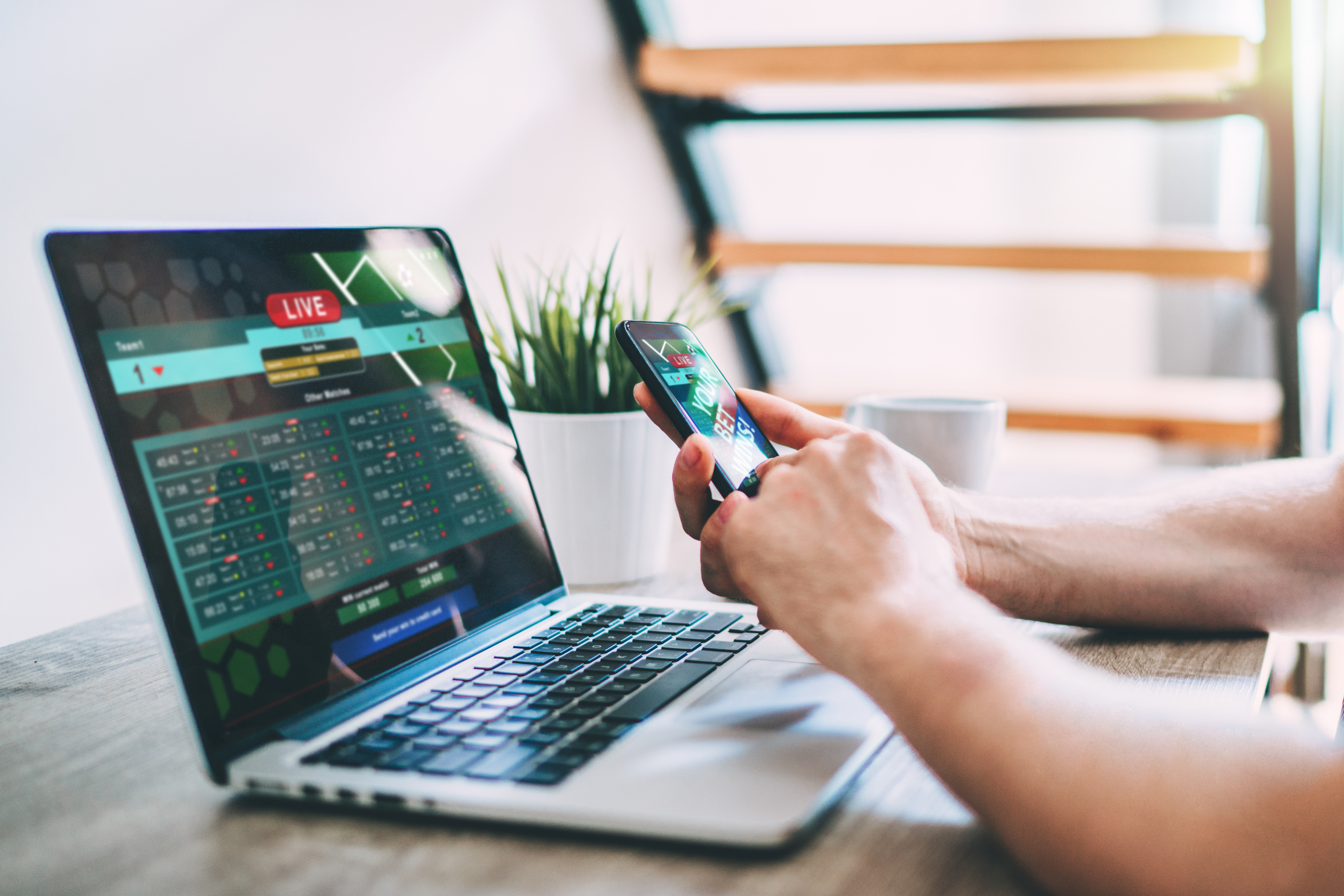 What is draw no bet? – A complete guide